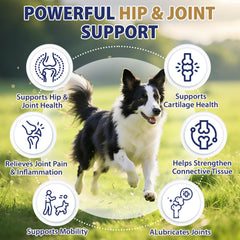Tciika dog calming chews label indicating calming ingredients for anxiety support