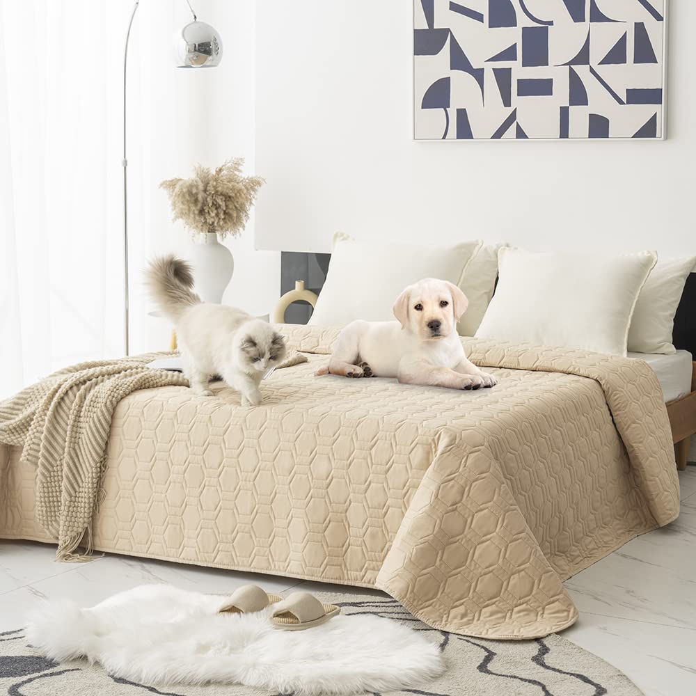 Tcksstex waterproof dog bed cover in beige protects furniture from spills.