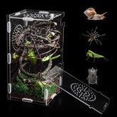 TCooSo jumping spider enclosure front view for clear visibility during feeding