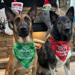 TCQWKNI Christmas dog bandana naughty list print close-up