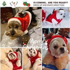 Tealots dog Christmas sweater 3D tree pattern enhances holiday charm