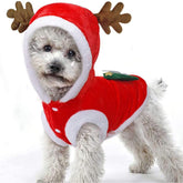 Tealots dog Christmas sweater front view offers cozy fit for outings