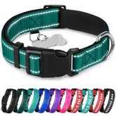 TECEUM Reflective Collar in dark emerald green enhances nighttime visibility for safer walks
