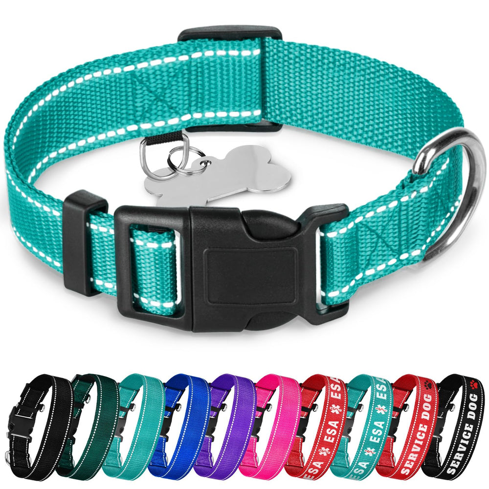 TECEUM Reflective Collar teal with quick-release buckle for easy on/off.