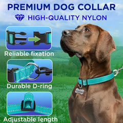 TECEUM Reflective Collar D-ring for secure leash attachment.