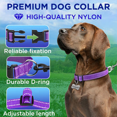 TECEUM Reflective Collar Violet S showing quick-release buckle