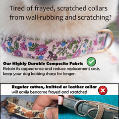 TEEMERRYCA strong buckle and D-ring enable secure leash attachment