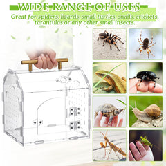 Teenyyou magnetic-door terrarium feeding access reduces escape risk.