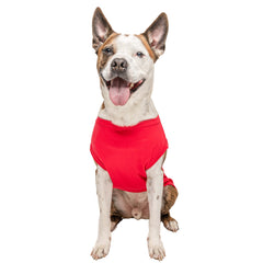 Tees & Tails ketchup bottle dog tee side view shows sleeveless, breathable design.