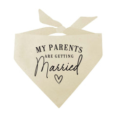 Tees & Tails dog-triangle prop worn during engagement photoshoots for cute wedding moments.