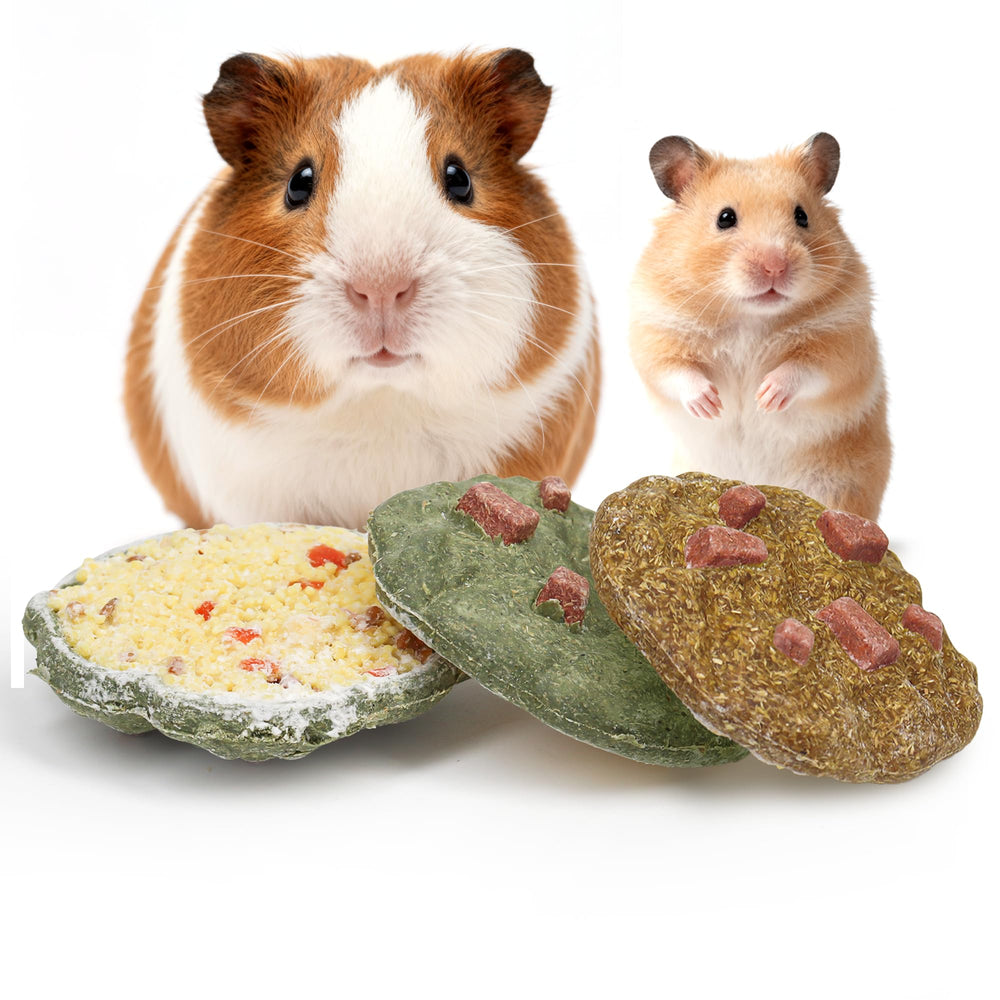 TEEWY Cookie Guinea Pig Toy 3pcs set offers chewing variety and enrichment