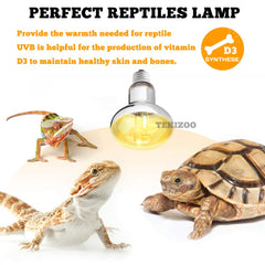 TEKIZOO 125W sun lamp assembly-and-setup shows easy installation and safe use.