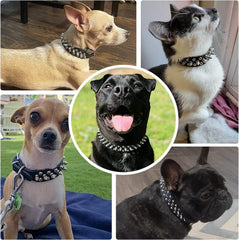 Teleyi blue spiked dog collar PU leather texture emphasizes soft, skin-friendly comfort.
