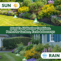 TELUNSU cat-repellent-indoor-furniture-protection safeguards carpets and sofas from paws