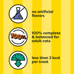 Temptations salmon-treat close-up shows crunchy exterior and soft interior.