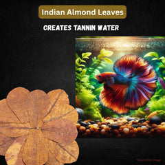 Tender Tropicals leaves in a natural aquarium scene enhance habitat realism