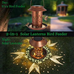 Tepaken bird feeder water-cups attract diverse backyard visitors at dawn or dusk.