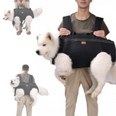 Terapaton Dog Lift Harness full-body sling supports large dogs during stairs and car entries.