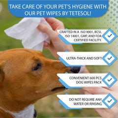 Tetesol Dog Wipes nose area for quick, gentle cleanup after outdoor adventures.