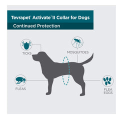 TevraPet Activate II collar worn outdoors highlights versatile indoor and outdoor use.