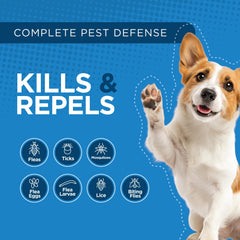 TevraPet Activate II waterproof formula remains effective through baths and rain.