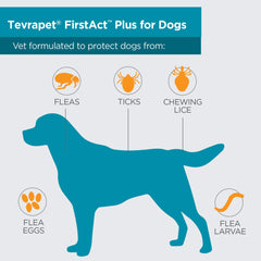 TevraPet FirstAct Plus helps break the flea lifecycle by targeting eggs and larvae