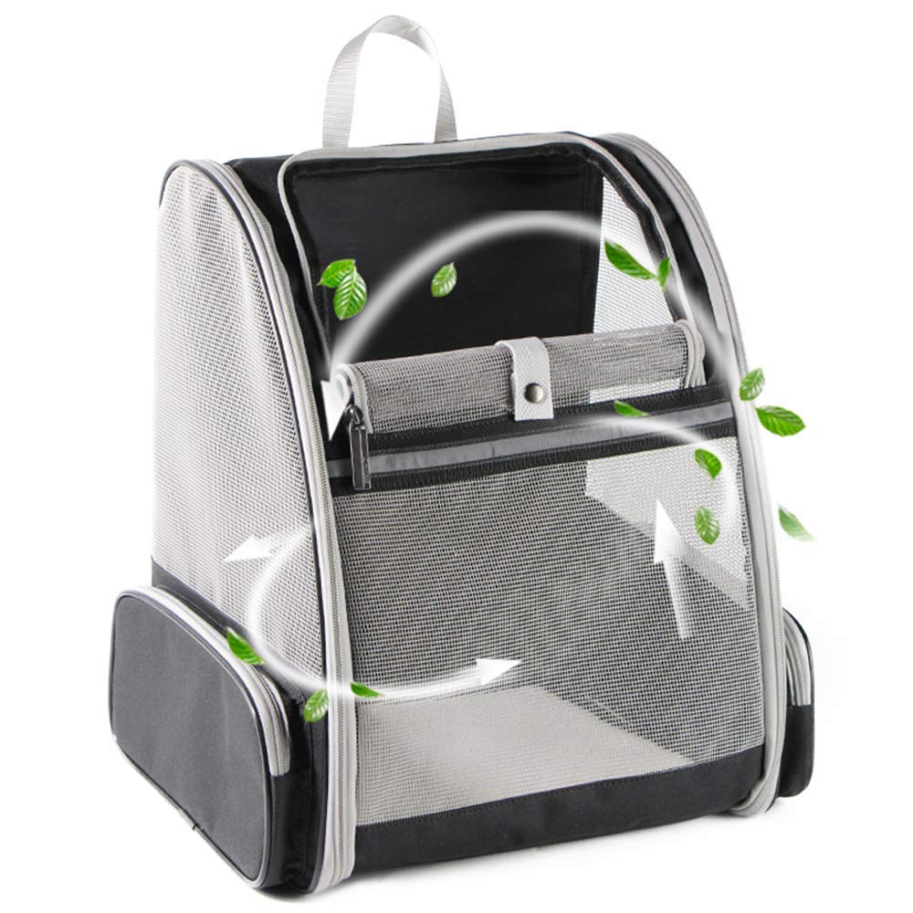 Texsens Traveler Bubble Backpack front view shows breathable mesh for airflow and visibility