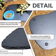 Tfwadmx reptile platform slip-free base with EVA pads for stable placement.