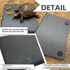 tfwadmx rock dish with non-slip pads demonstrating secure feeding surface