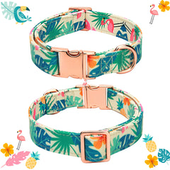 Thankspaw flamingo-pattern collar with vibrant summer flair