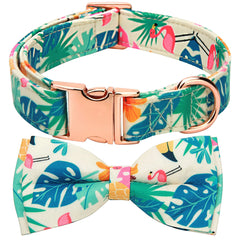 Thankspaw floral-pattern collar shown on a dog for daily walks and photoshoots