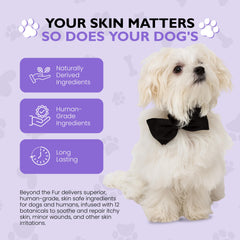 The Canine Project Vital Skin Therapy Spray applied on a dog’s coat for itch relief