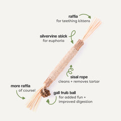 The Cat Park Silvervine Sticks teething kittens setup promotes gentle chewing and relief.