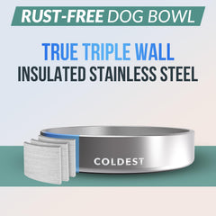 Dishwasher-safe Coldest Water dog bowl for easy cleaning after meals.