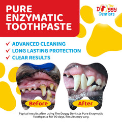 The Doggy Dentists enzyme toothpaste for dogs and cats with beef flavor that may reduce breath odors.