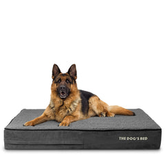 The Dog's Balls The Dog's Bed XL Grey Plush cover provides luxurious comfort for larger dogs.
