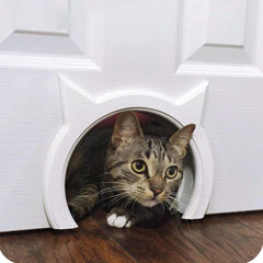 The Kitty Pass interior cat door installed in a doorway keeps the litter box hidden while cats can access it.