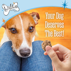 The Lazy Dog Cookie Co enjoying holiday treat with a chewy texture.