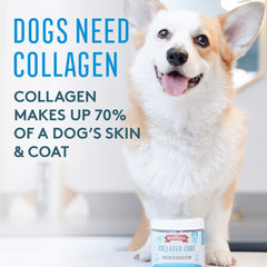 The Missing Link Collagen Care bottle label highlights natural ingredients and no artificial additives.
