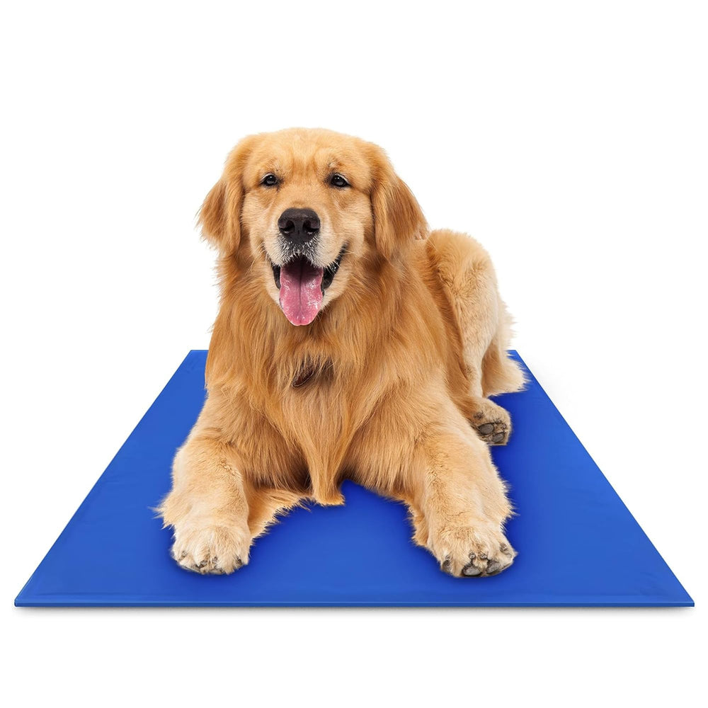 The Green Pet Shop Chillz gel mat extralarge helps pets cool down after play.