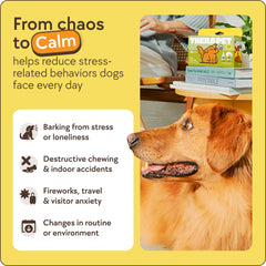 TherapetMD scene with an anxious dog near a diffuser, illustrating stress reduction potential.