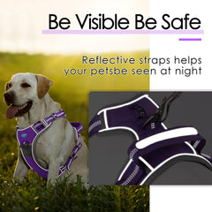 ThinkPet No-Pull Harness back clip for daily walks
