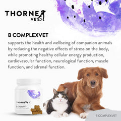 ThorneVET B ComplexVET soft chews pile — convenient daily supplement for dogs and cats.