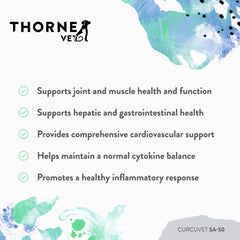 Dog using ThorneVet CurcuVET-SA50 chews in daily routine