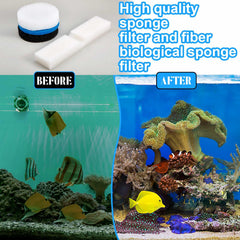 Threlaco carbón activado mejora claridad y reduce olores en el acuario