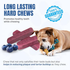 Tibetan Dog Chew yak cheese stick blueberry dog-chewing demonstrates long-lasting entertainment.