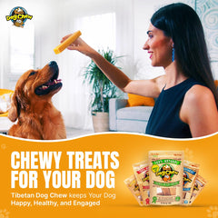 Tibetan Dog Chew Yak Cheese Sticks minimal odor and low-stain chew sessions.