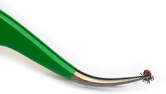 TickCheck Premium Tick Remover Kit tweezers for precision removal of tiny ticks
