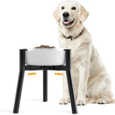 TIDANT adjustable-width dog bowl stand supports multiple bowls at mealtime