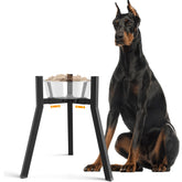 TIDANT elevated dog bowl stand for large dogs — comfortable mealtime height.
